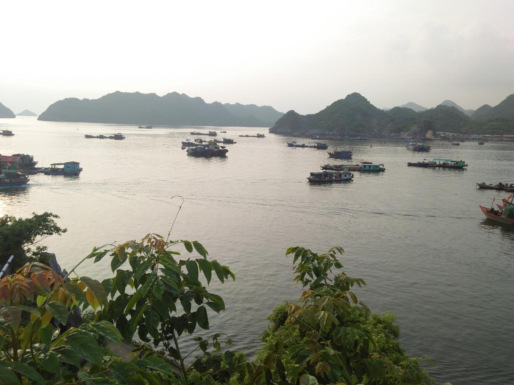 Cat Ba Victory Hostel Dong Khe Sau Exteriér fotografie